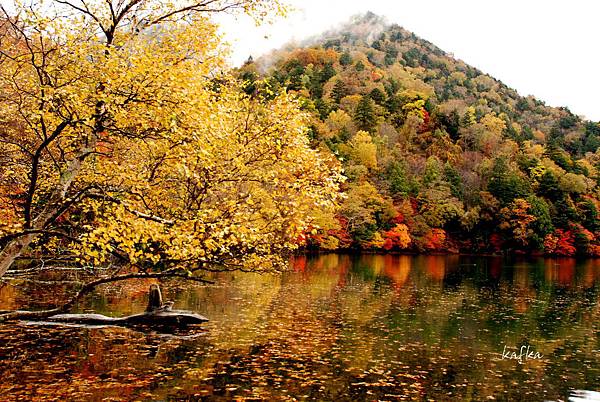 湯滝入口17 湯滝入口17