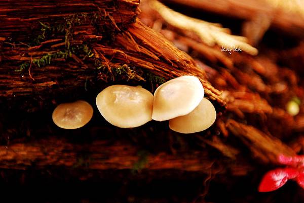 湯滝入口18 湯滝入口18