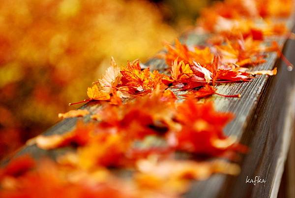 湯滝入口21 湯滝入口21