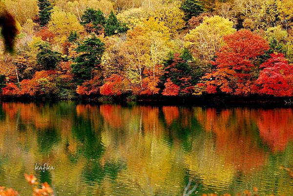 湯滝入口22 湯滝入口22