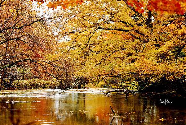 湯滝入口31 湯滝入口31