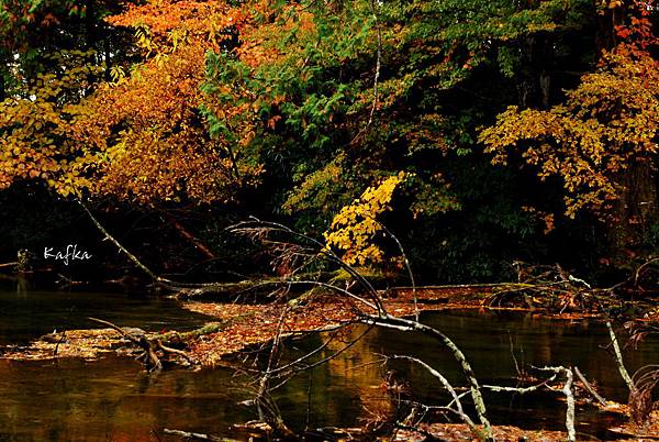 湯滝入口32 湯滝入口32