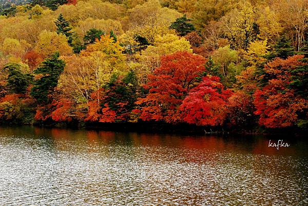 湯滝入口33 湯滝入口33