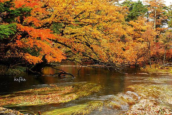 湯滝入口34 湯滝入口34