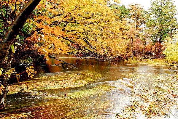 湯滝入口35 湯滝入口35