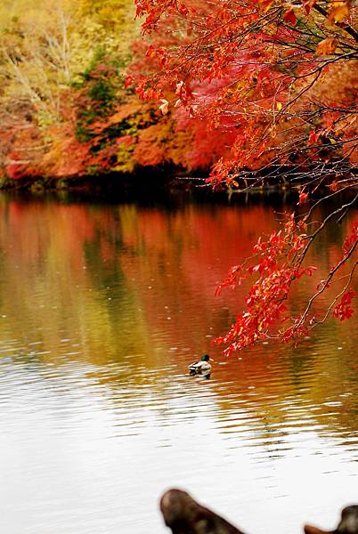 湯滝入口v4 湯滝入口v4