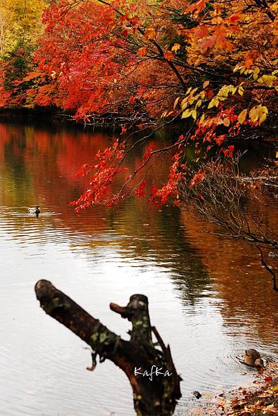 湯滝入口v6 湯滝入口v6