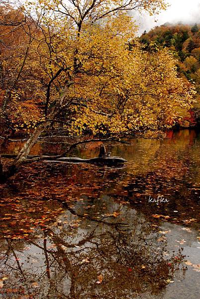 湯滝入口v16 湯滝入口v16