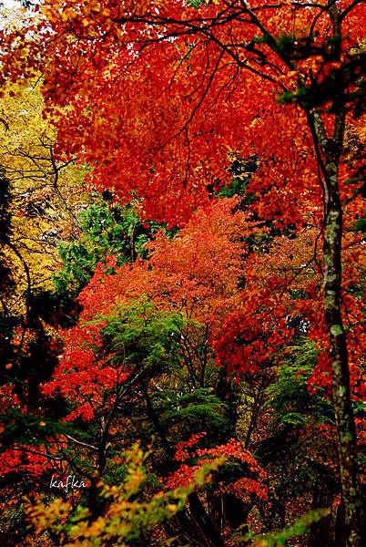 湯滝入口v19 湯滝入口v19