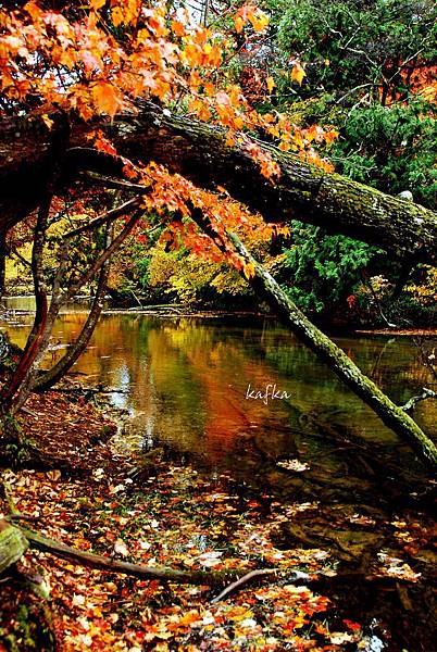 湯滝入口v23 湯滝入口v23