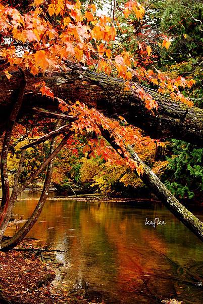 湯滝入口v30 湯滝入口v30