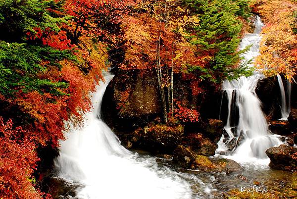 龍頭之瀧7 龍頭之瀧7