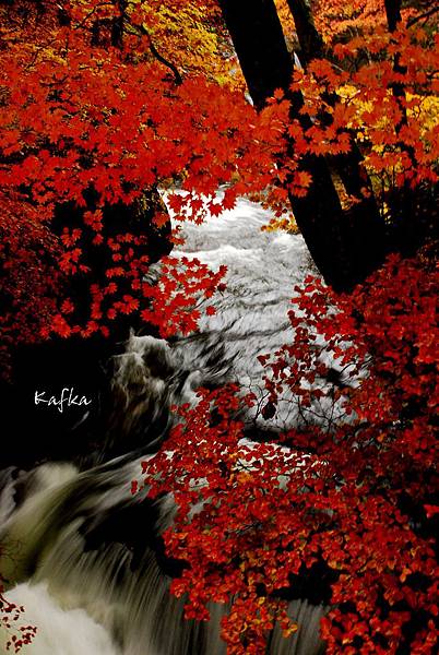 龍頭之瀧28 龍頭之瀧28