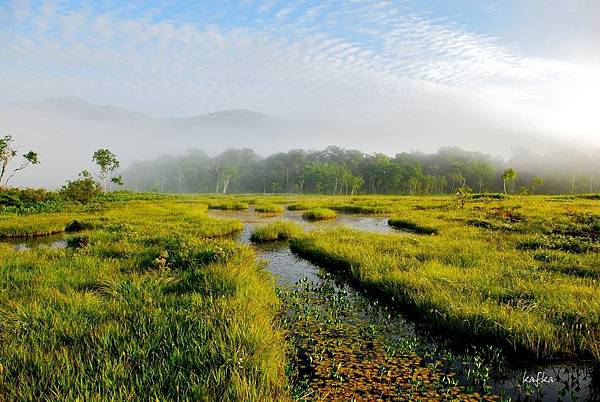 02DSC_9193.JPG 02DSC_9193.JPG