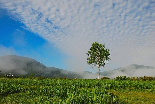 01DSC_9262.JPG 01DSC_9262.JPG