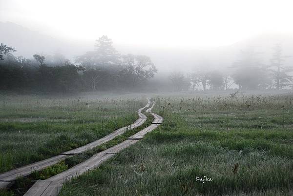 08DSC_9124.JPG 08DSC_9124.JPG