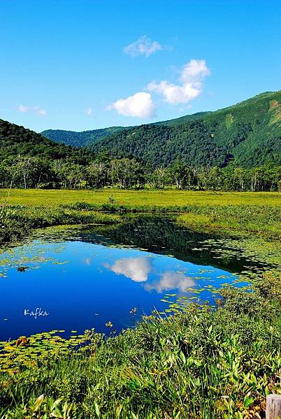 05DSC_9334.JPG 05DSC_9334.JPG