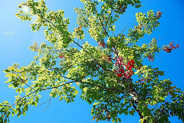 14DSC_9357.JPG 14DSC_9357.JPG