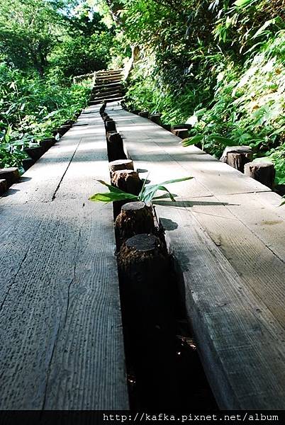 DSC_8872.JPG DSC_8872.JPG