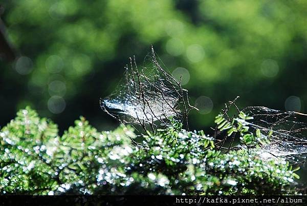 DSC_8884.JPG DSC_8884.JPG