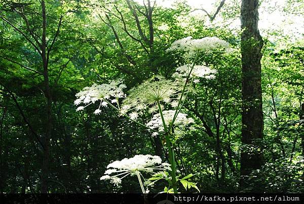 DSC_8887.JPG DSC_8887.JPG