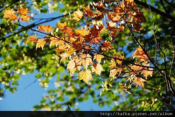 DSC_8880.JPG DSC_8880.JPG