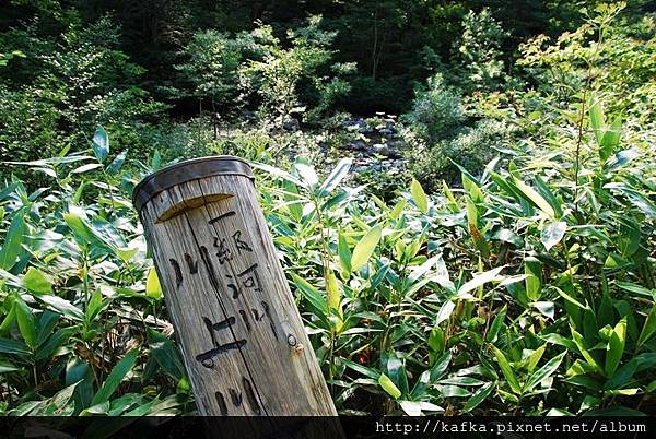 DSC_8879.JPG DSC_8879.JPG