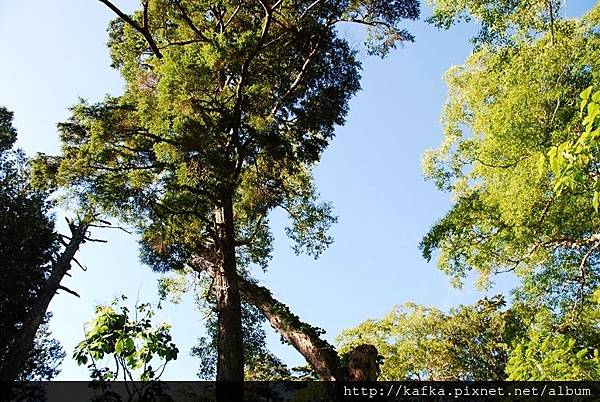 DSC_8873.JPG DSC_8873.JPG