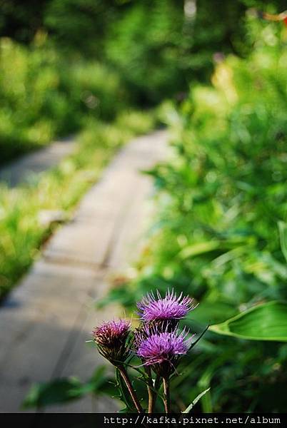 DSC_8893.JPG DSC_8893.JPG