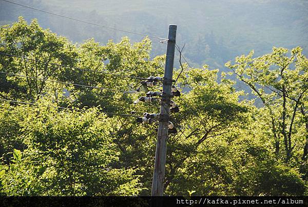 DSC_8895.JPG DSC_8895.JPG