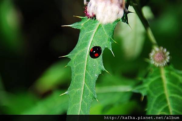 DSC_8899.JPG DSC_8899.JPG