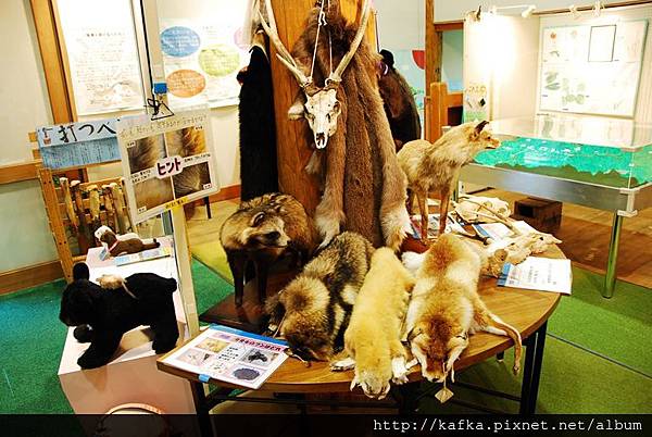 DSC_8909.JPG DSC_8909.JPG