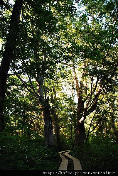 DSC_8902.JPG DSC_8902.JPG