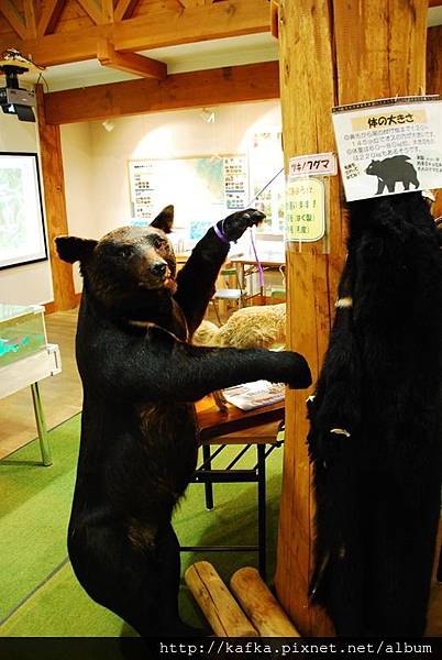 DSC_8910.JPG DSC_8910.JPG