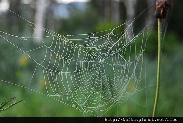 DSC_9122.JPG DSC_9122.JPG