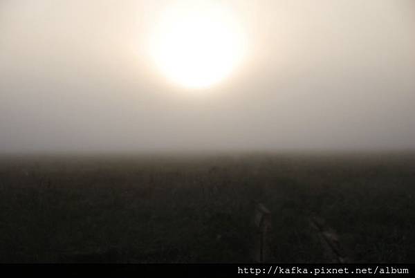 DSC_9154.JPG DSC_9154.JPG