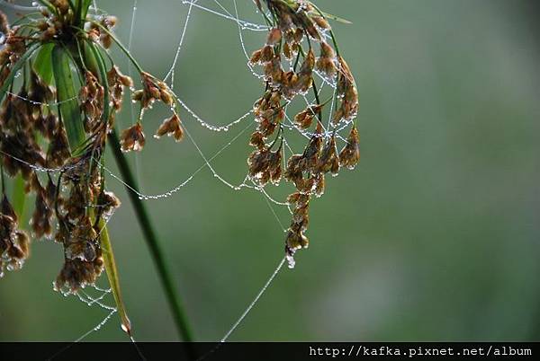 DSC_9174.JPG DSC_9174.JPG