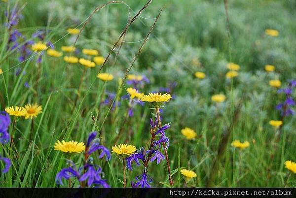 DSC_9179.JPG DSC_9179.JPG