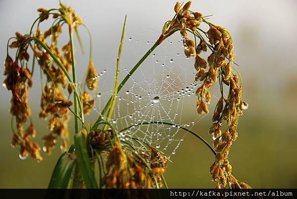 DSC_9186.JPG DSC_9186.JPG