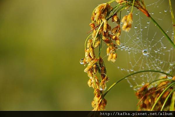 DSC_9189.JPG DSC_9189.JPG