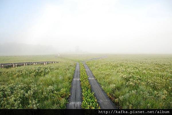 DSC_9184.JPG DSC_9184.JPG