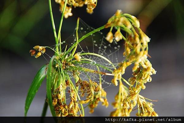 DSC_9192.JPG DSC_9192.JPG