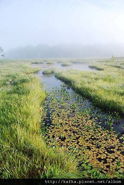 DSC_9201.JPG DSC_9201.JPG