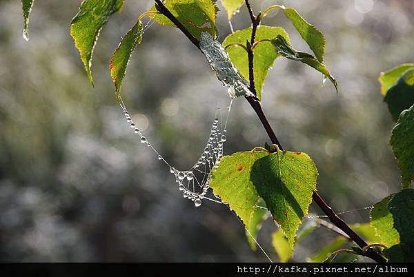 DSC_9198.JPG DSC_9198.JPG