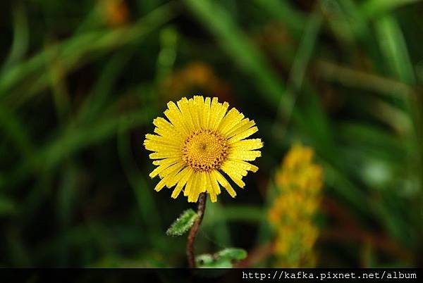 DSC_9210.JPG DSC_9210.JPG