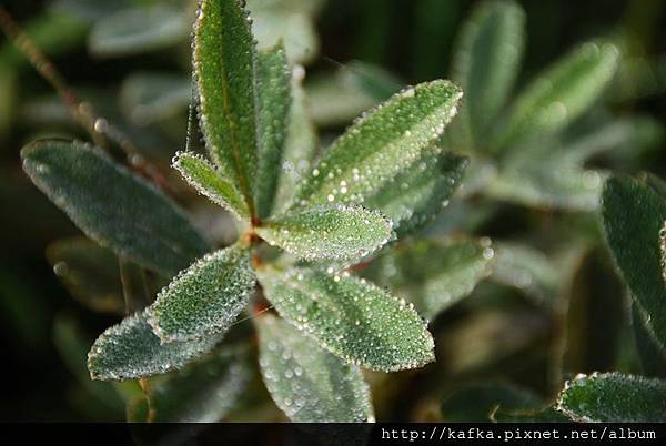 DSC_9208.JPG DSC_9208.JPG