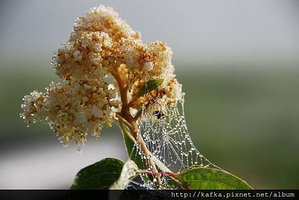 DSC_9214.JPG DSC_9214.JPG