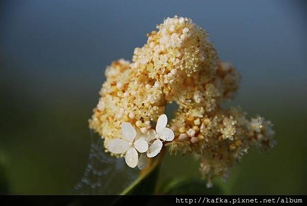 DSC_9215.JPG DSC_9215.JPG