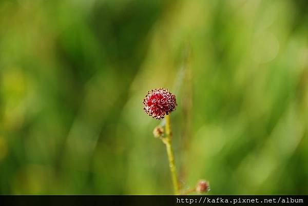 DSC_9207.JPG DSC_9207.JPG