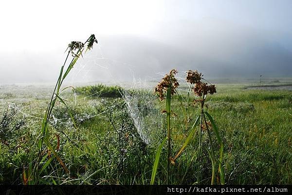 DSC_9211.JPG DSC_9211.JPG